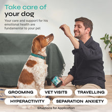 Load image into Gallery viewer, VETRICA Anxiety Relief Calming Chews for Dogs w/Valerian Root, Hemp Oil, Turmeric, L Theanine 130 Ct For Pet With Love
