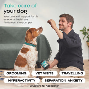 Calming Chews for Dogs Anxiety Relief   Hemp Calming Chews for Dogs with