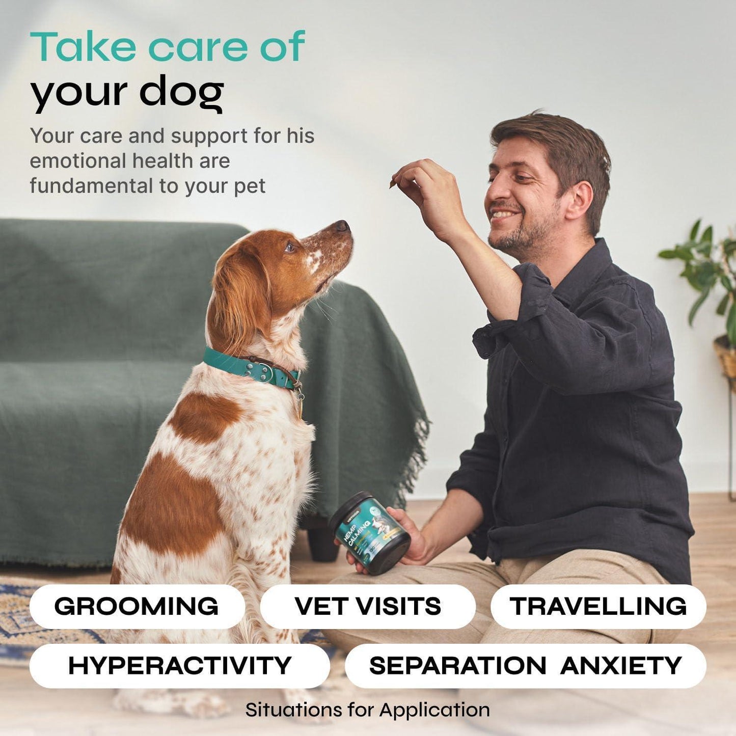 VETRICA Stress Separation, Storms & Anxiety Relief Hemp Calming Chews for Dogs. 130 Chews. Beef Flavor For Pet With Love