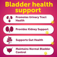 Load image into Gallery viewer, Dog UTI Treatment - Cranberry Supplement &amp; Bladder Control for Dogs - Duck Flavor
