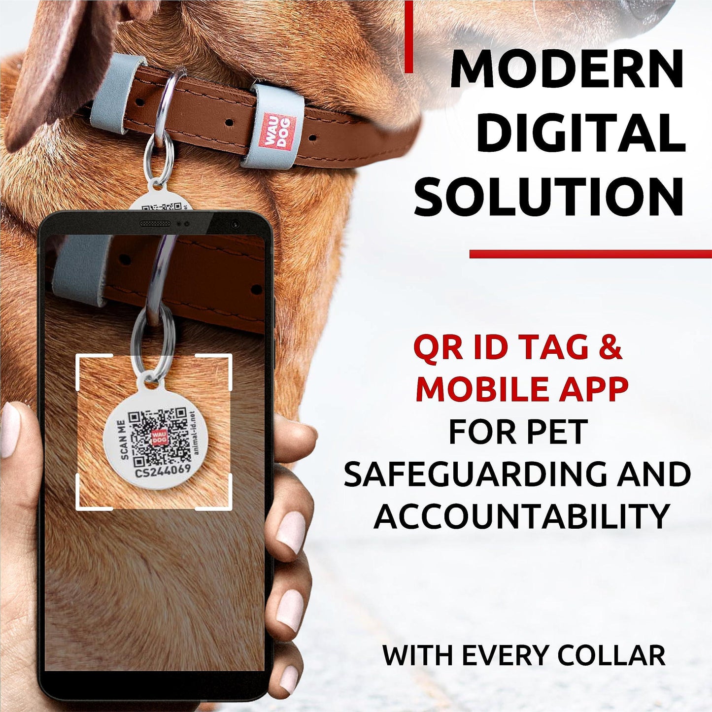 WAUDOG Long Lasting Leather Dog Collar for Large Dogs Medium & Small Dogs   Adjustable Classic Puppy Collars for Large Breed Dogs   Boy & Girl Dog Collars with Durable Buckle D Ring & QR Dog Tag For Pet With Love