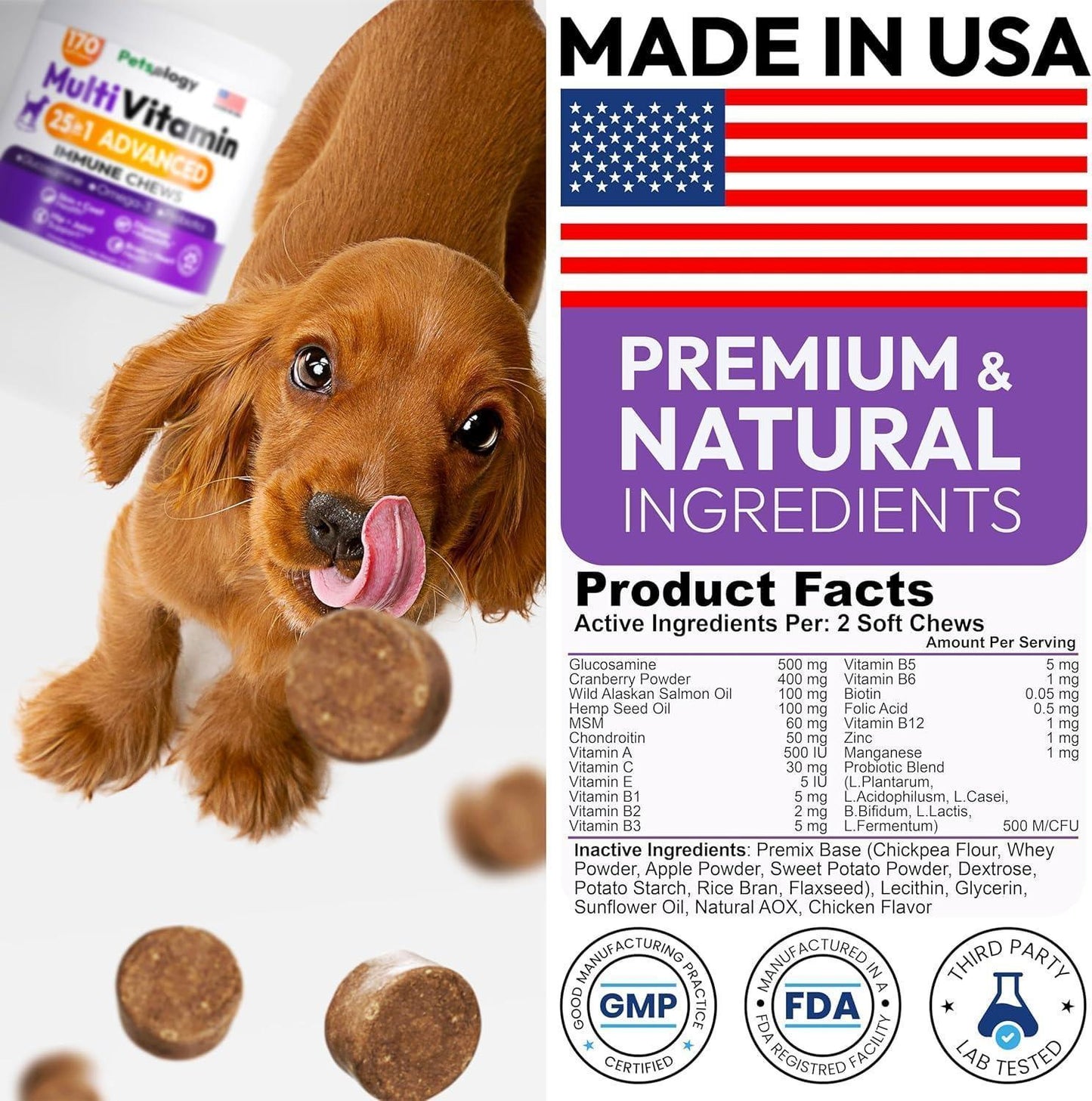 PETSOLOGY Multivitamin Chews for Dogs with Glucosamine, Omega 3 & Probiotics.  (2 Pack) 340 Chews For Pet With Love