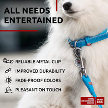 Load image into Gallery viewer, WAUDOG Rolled Leather Dog Leash 4Ft * 0.3 in for Small Medium and Large Dogs
