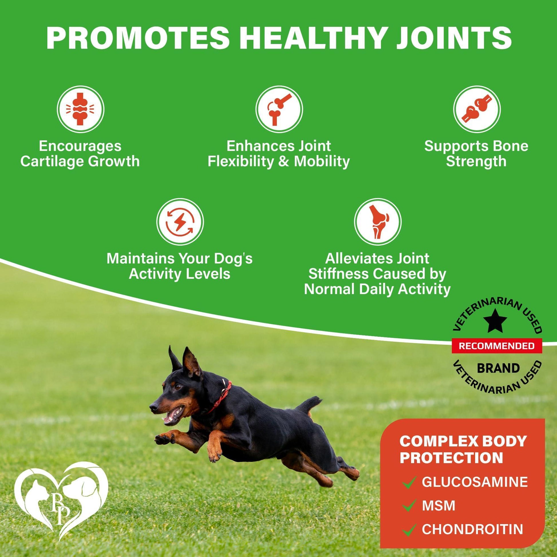 Beloved Pets Hip and Joint Supplement & Arthritis Pain Relief for Dogs 120 Chews For Pet With Love