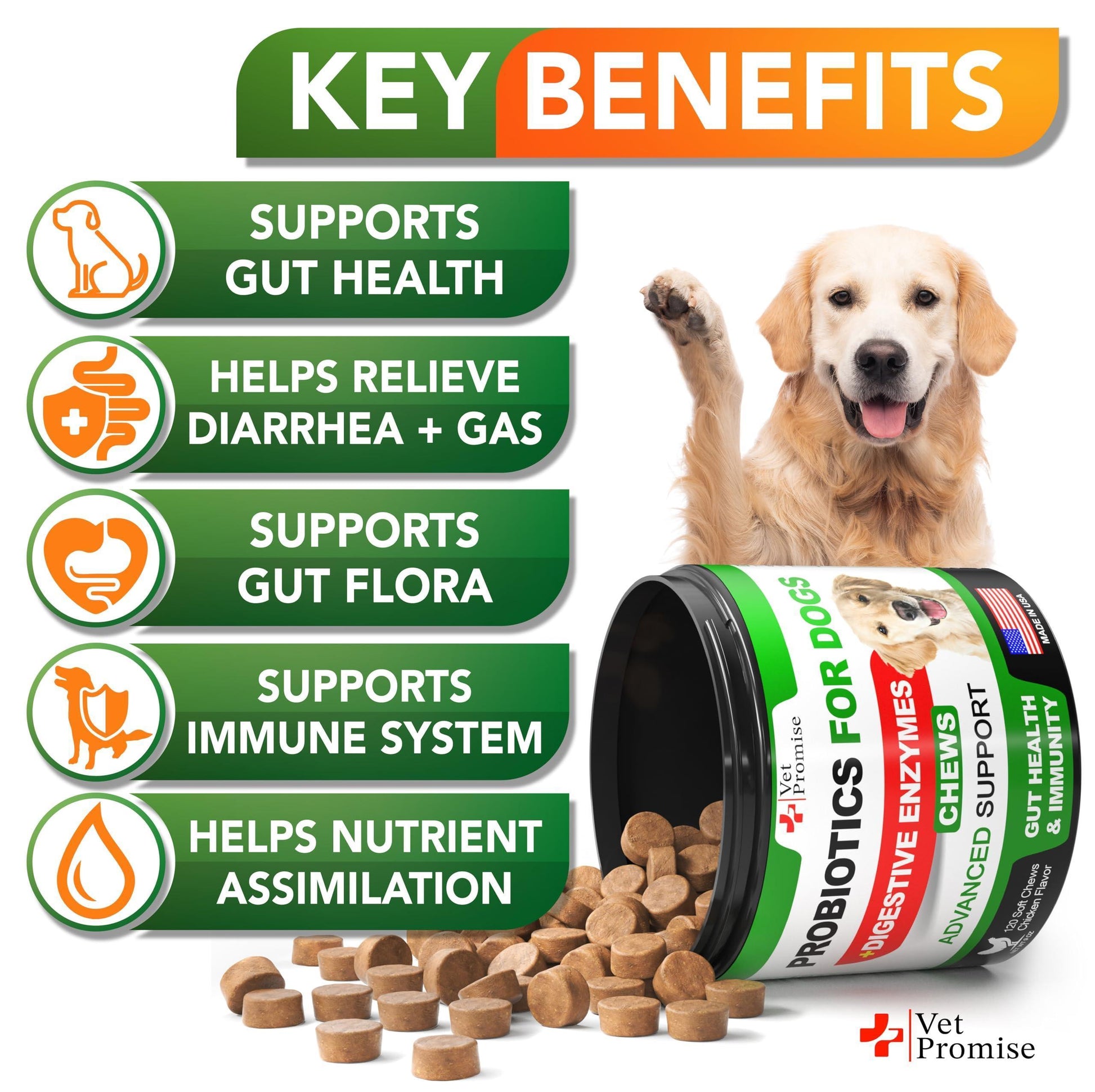 Vet Promise Dog Probiotics and Digestive Enzymes for Gut Health, Itchy Skin Allergies, Immunity Yeast Balance 120 Chews For Pet With Love