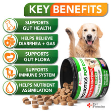 Load image into Gallery viewer, Vet Promise Dog Probiotics and Digestive Enzymes for Gut Health, Itchy Skin Allergies, Immunity Yeast Balance 120 Chews

