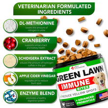 Load image into Gallery viewer, Vet Promise Dog Urine Neutralizer for Lawn with Probiotics Digestive Enzymes 120 Chews
