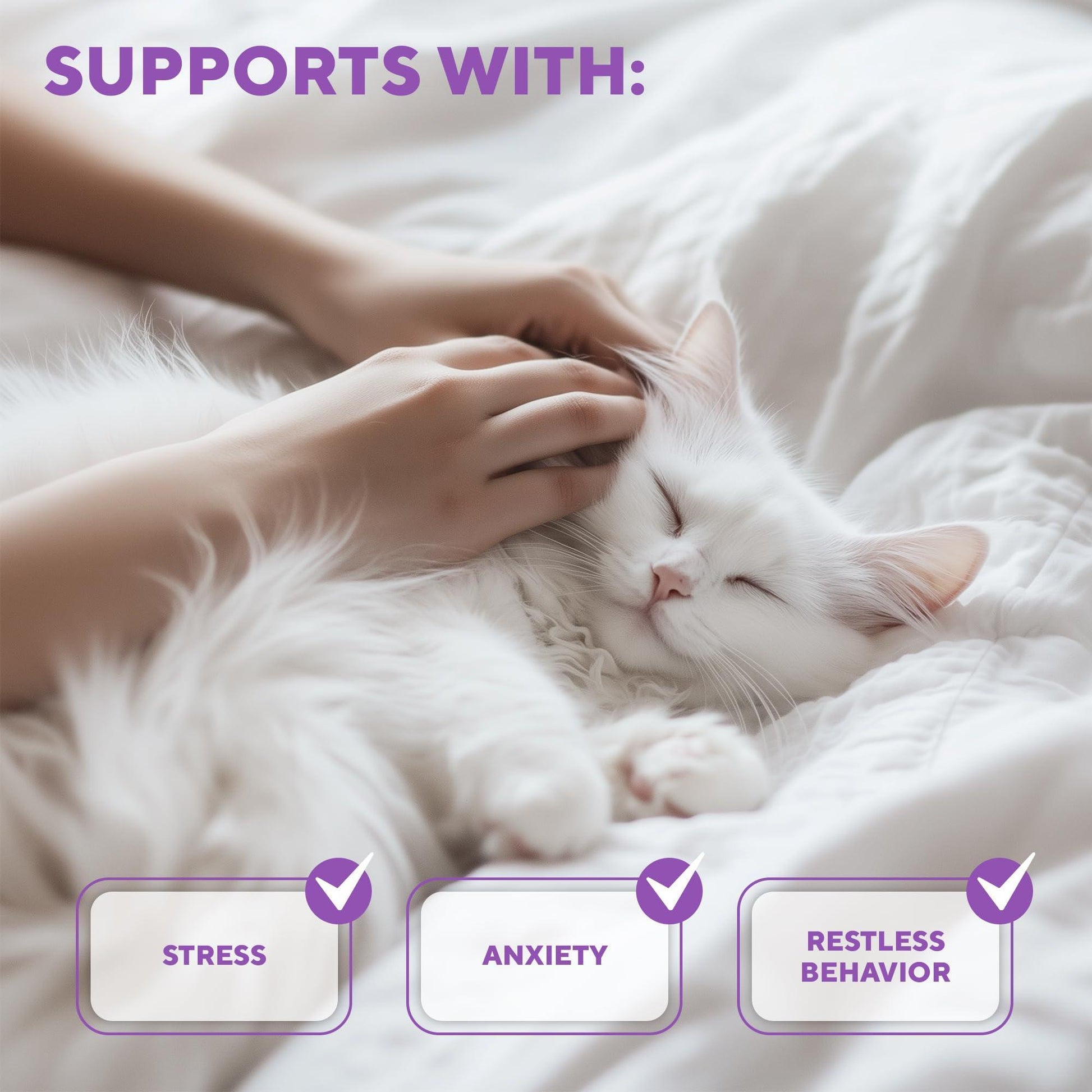 Beloved Pets RELAXIV Calming Pheromone Spray & Scratch Repellent for Cats. Reduces Furniture Scratching,  Fighting and Hiding. Helps to Relief Stress During Travel, Fireworks, Thunder, Vet Visits. 50mL For Pet With Love