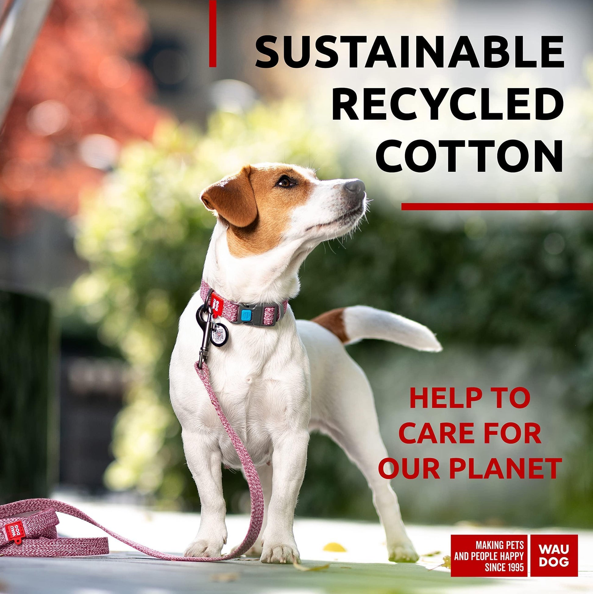 Recycled Cotton Dog Leash 6 Ft   10 Ft Eco Friendly Collar for Small Medium & For Pet With Love