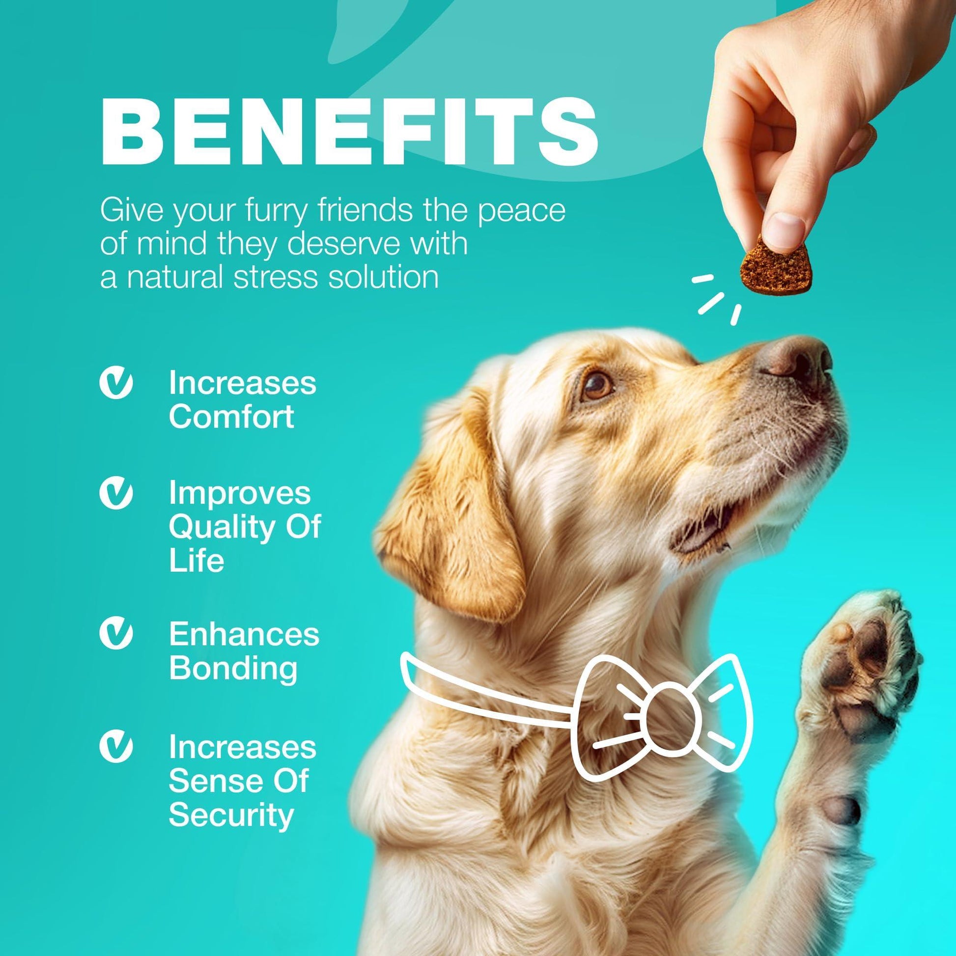 CHEWIA No Poo Probiotics for Digestive Health Supplement and Coprophagia Deterrent Chews for Dogs. Digestive Gut & Immune Health Treats.  180 Chews. Duck Flavor For Pet With Love