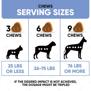 Kinpur Pet Care Calming Chews for Dogs  Dog Calming Treats with Hemp Oil,