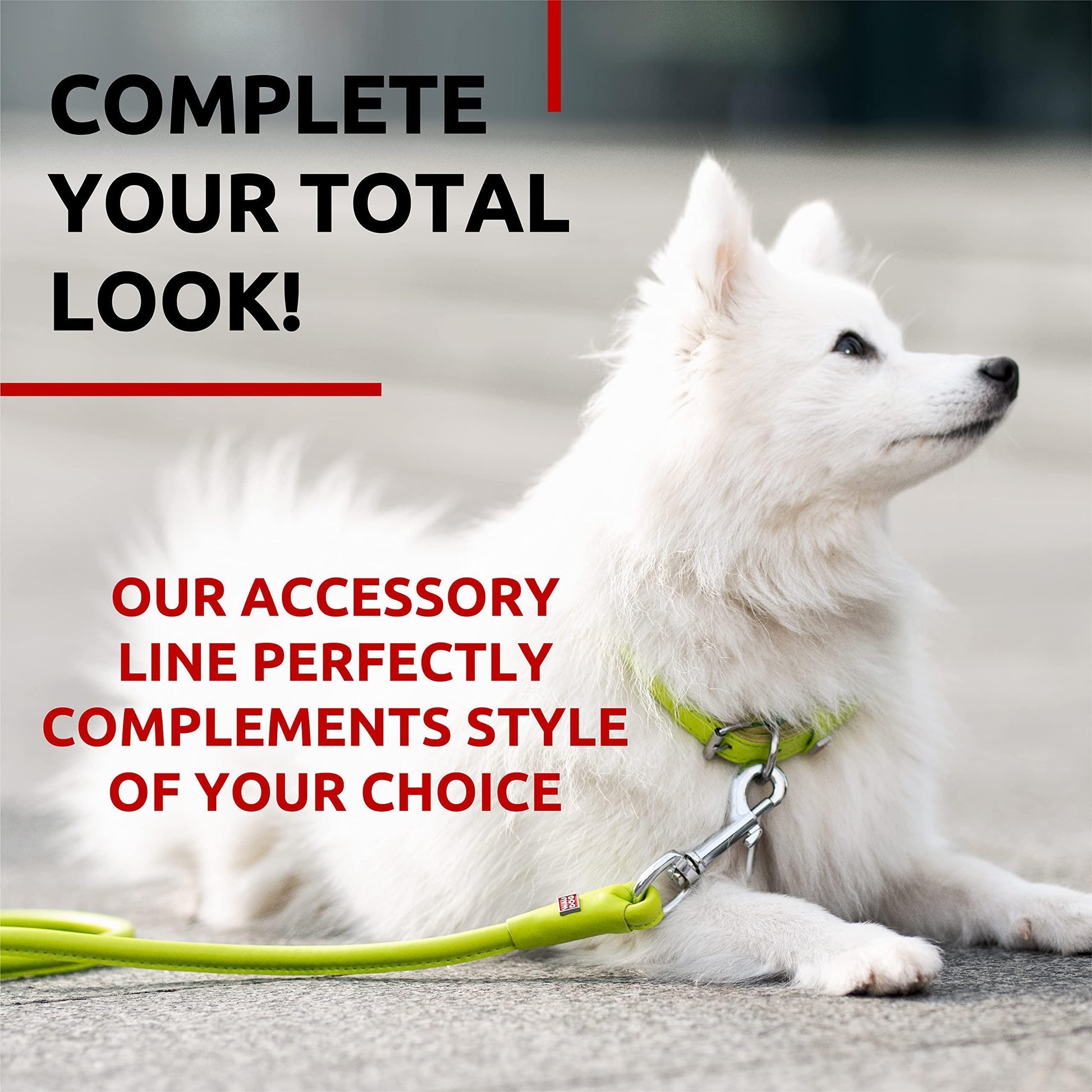 WAUDOG Rolled Leather GLAMOUR Dog Leash 4Ft * 0.3in (Green) For Pet With Love