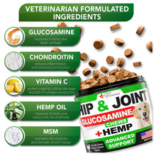 Load image into Gallery viewer, Vet Promise Glucosamine  Hemp Hip and Joint Support Supplement for Dogs 120 Chews
