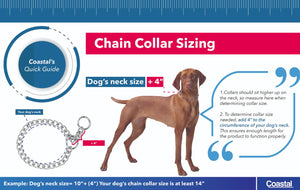 Titan Medium Choke Chain Dog Collar 2.5mm