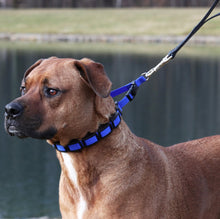 Load image into Gallery viewer, Coastal Pet Natural Control Training Collar Links
