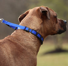 Load image into Gallery viewer, Coastal Pet Natural Control Training Collar Links
