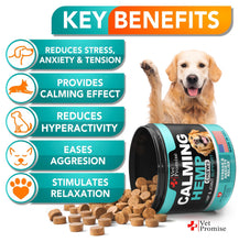 Load image into Gallery viewer, Vet Promise Advanced Calming Hemp Anxiety Relief Chews for Dogs with Melatonin. Stress &amp; Separation Anxiety, Sleep Aid, Hip and Joint Supplement Support.  Made in USA (70 Treats) For Pet With Love
