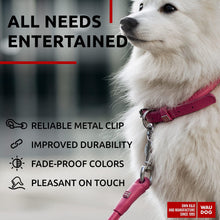 Load image into Gallery viewer, Rolled Leather Dog Leash 4Ft * 0.3 in for Small Medium and Large Dogs   Heavy
