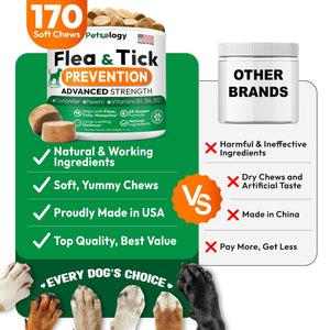 Flea and Tick Prevention for Dogs Pills   Natural Dog Flea & Tick Control   170