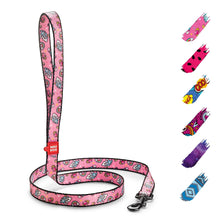 Load image into Gallery viewer, Nylon Dog Leash for Small Dogs and Medium Dogs 4 Ft   Strong Dog Leash for
