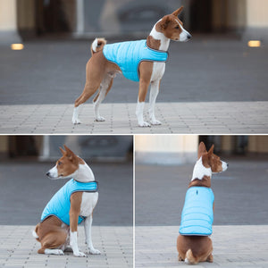 AiryVest Waterproof Dog Warm Puffer Jacket for Cold Weather  XXS  Blue