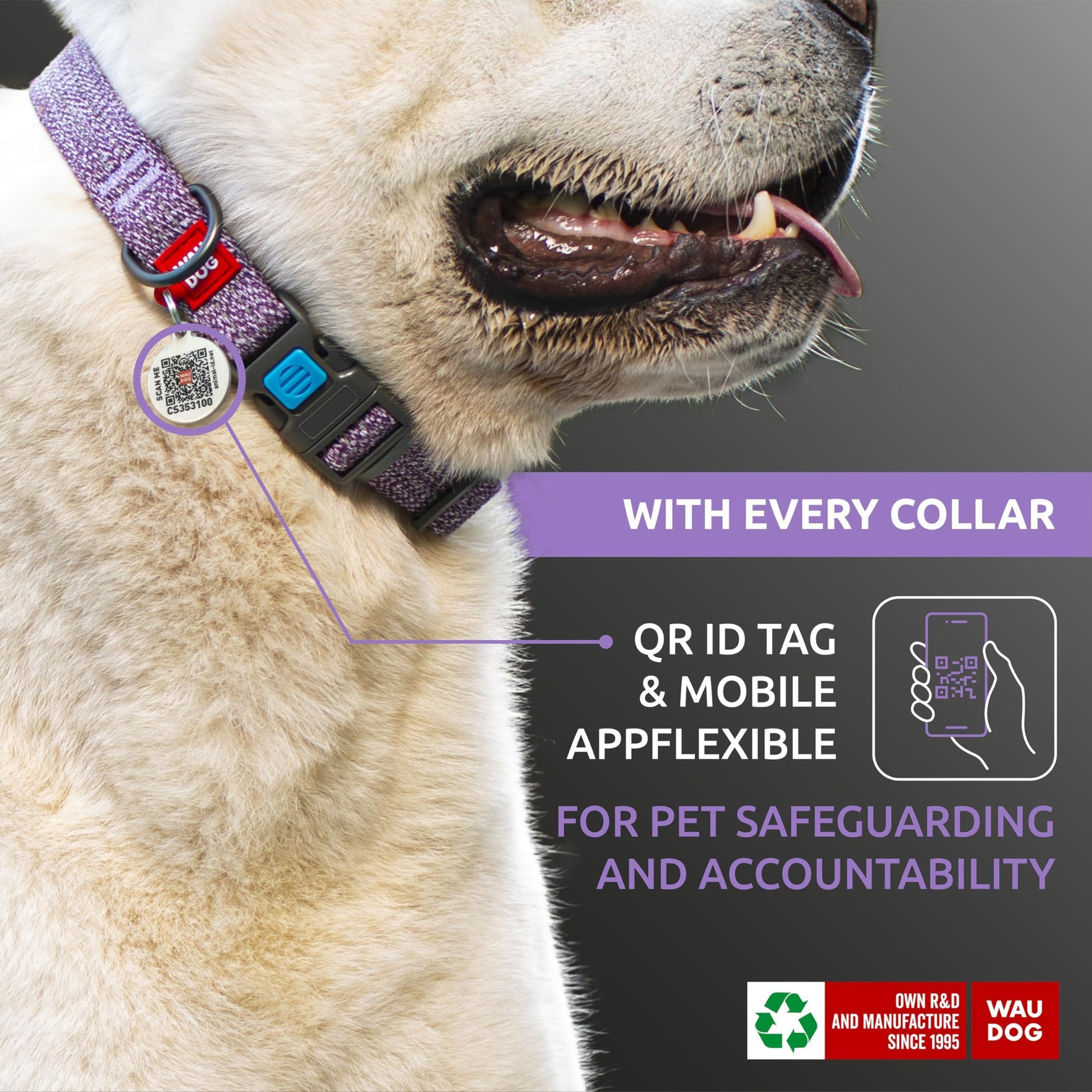 WAUDOG Eco Friendly Reflective Cotton Dog Collar PURPLE LARGE For Pet With Love