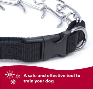 Titan Easy-On Prong Training Collar