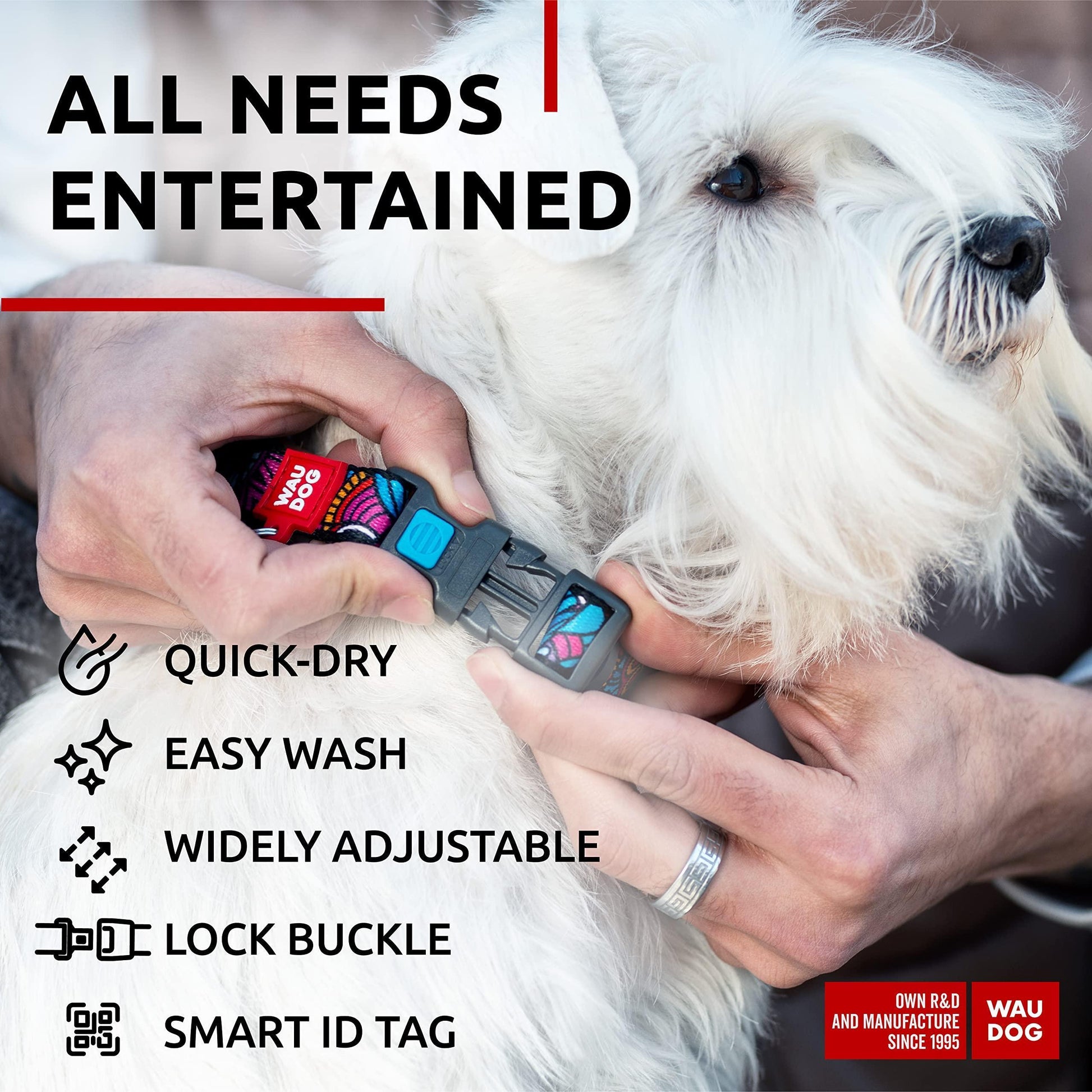 WAUDOG Nylon Adjustable Dog Collar with Durable Plastic Buckle and QR Dog Tag SUMMER LARGE For Pet With Love