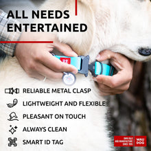 Load image into Gallery viewer, WAUDOG Adjustable Waterproof Glow in the Dark Dog Collar with Plastic Buckle and QR Dog Tag MINT MEDIUM

