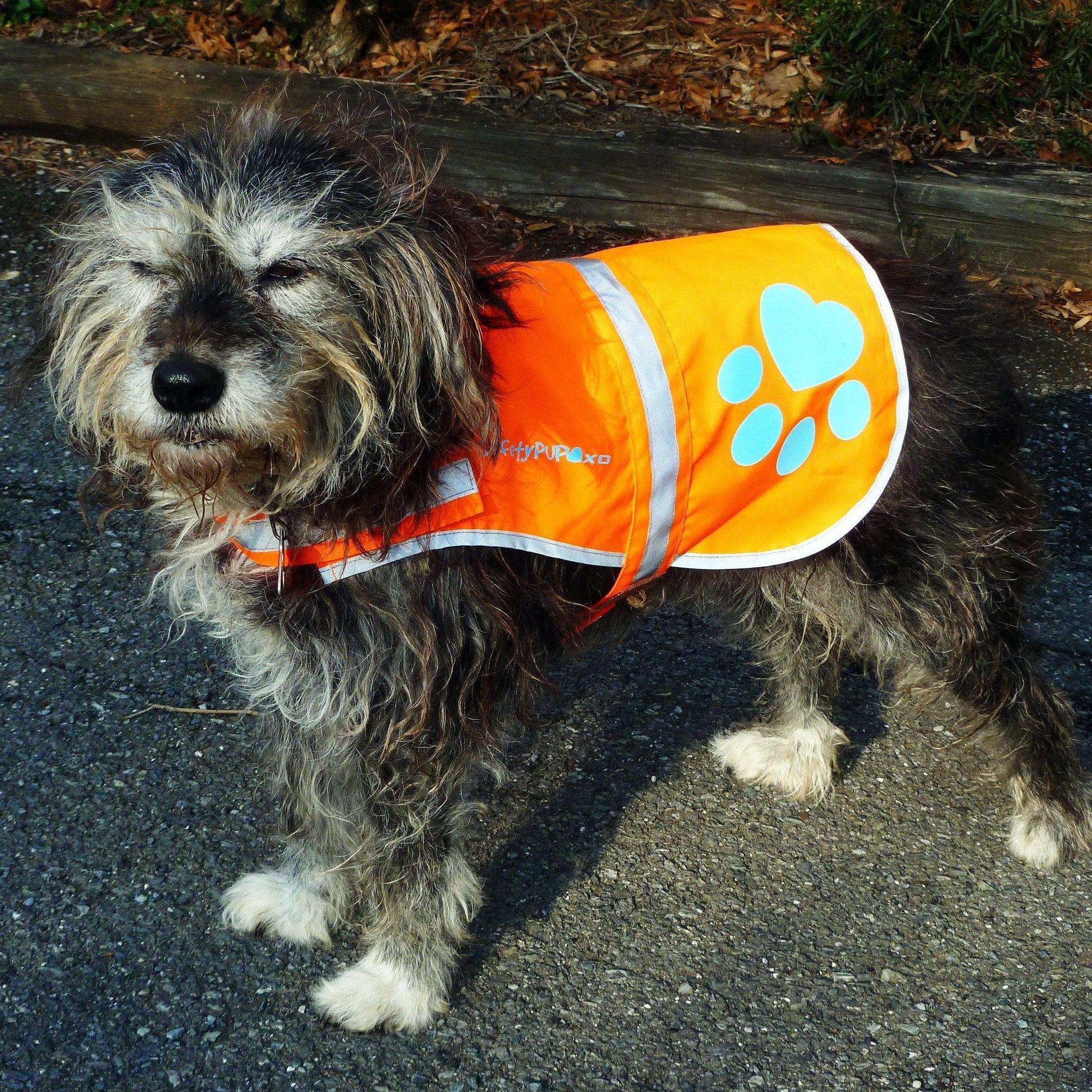 SafetyPUP XD Hi-Visibility Reflective Fluorescent Blaze Orange Dog Vest (Small) For Pet With Love