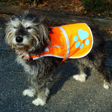 Load image into Gallery viewer, SafetyPUP XD Hi-Visibility Reflective Fluorescent Blaze Orange Dog Vest (Small)
