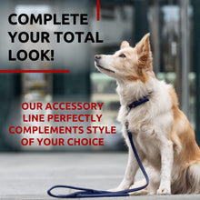 Load image into Gallery viewer, WAUDOG Rolled Leather GLAMOUR Dog Leash 4Ft * 0.4in for Small Medium and Large Dogs (Purple)
