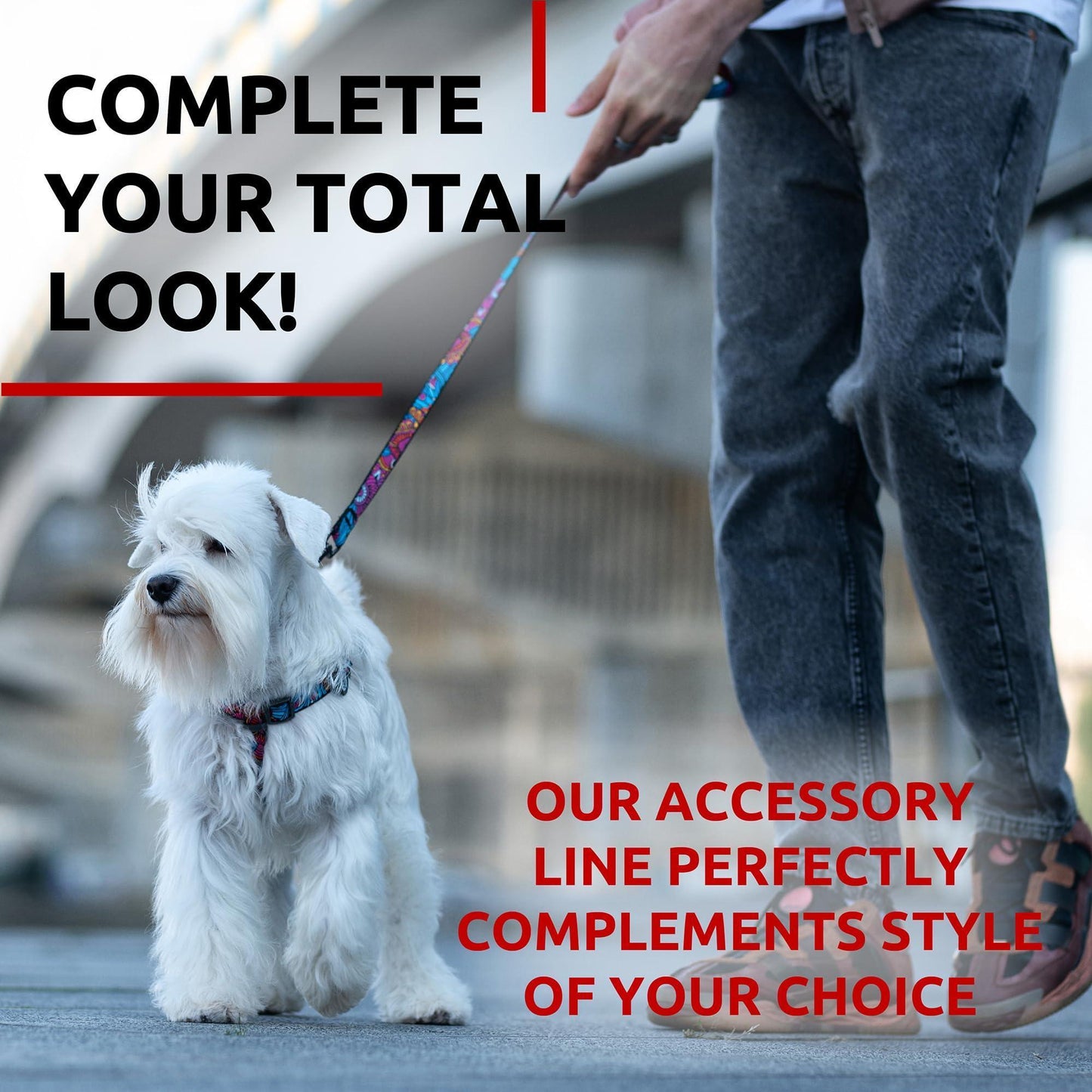 WAUDOG Nylon Dog Leash for Small Dogs and Medium Dogs 4 Ft   Strong Dog Leash For Pet With Love