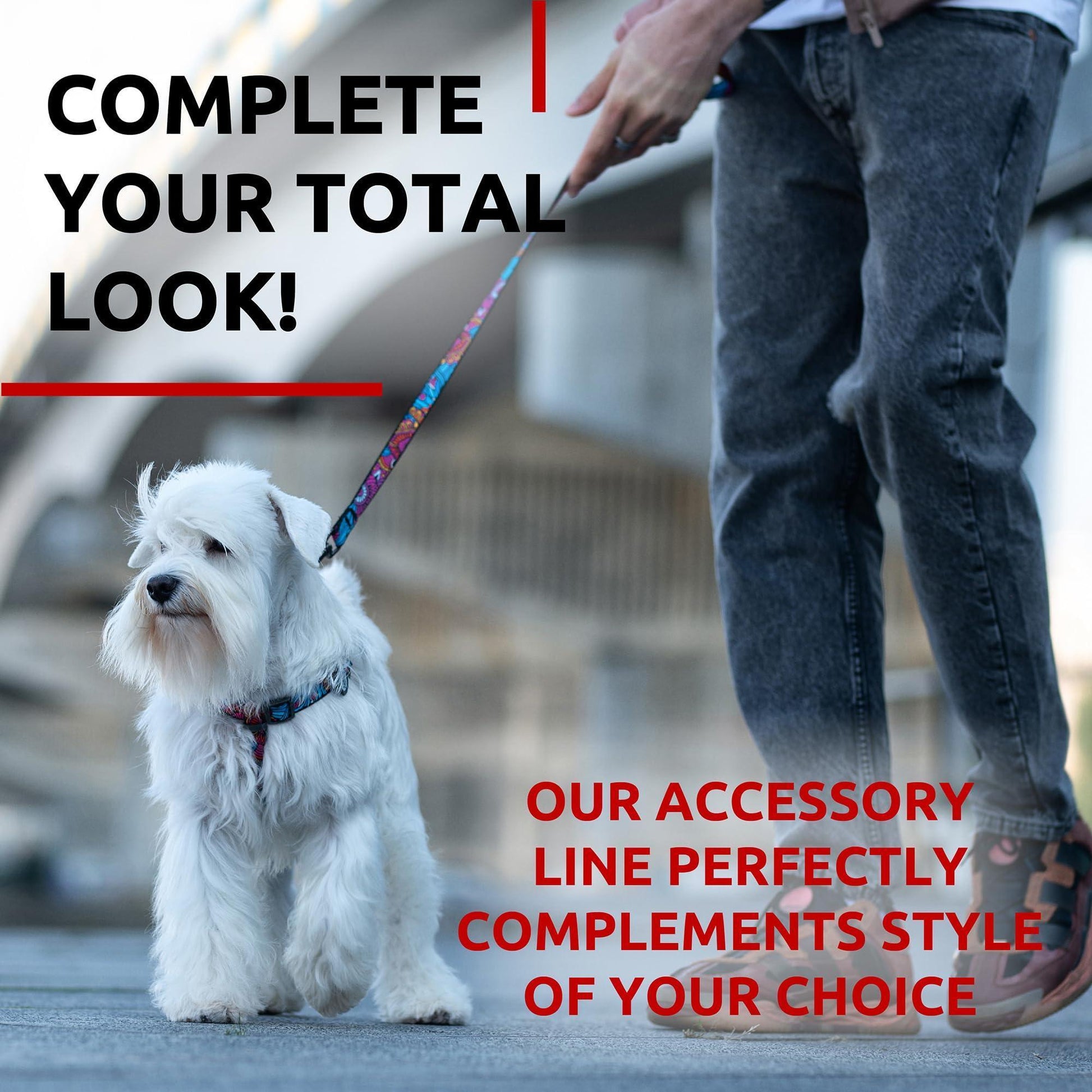 WAUDOG Nylon Dog Leash for Small Dogs and Medium Dogs 4 Ft   Strong Dog Leash For Pet With Love