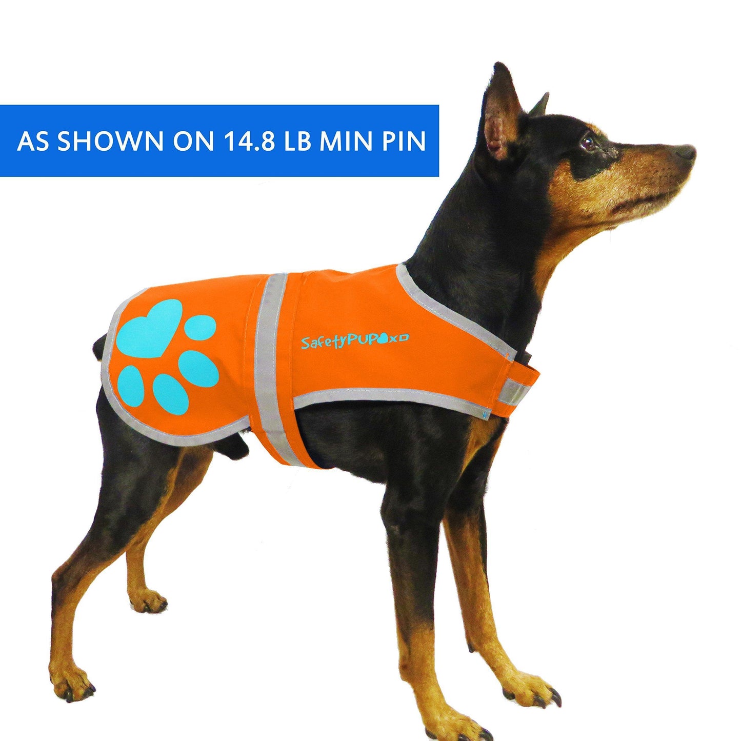 SafetyPUP XD HiVisibility Reflective Fluorescent Blaze Orange Dog Vest (XSMALL) For Pet With Love
