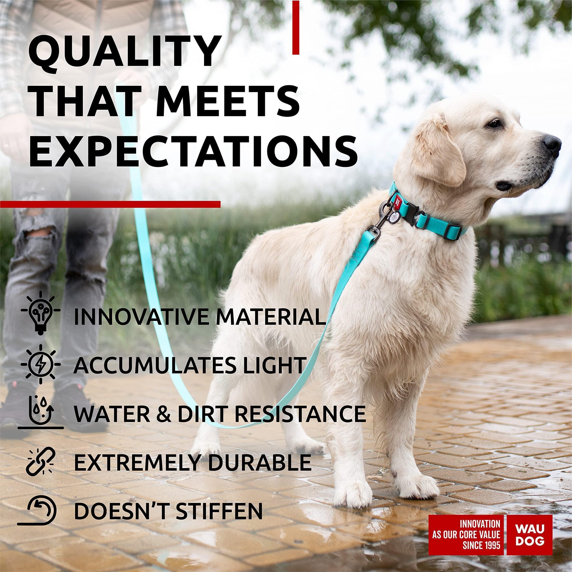 WAUDOG Adjustable Waterproof Glow in the Dark Dog Collar with Plastic Buckle and QR Dog Tag MINT MEDIUM For Pet With Love