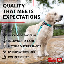 Load image into Gallery viewer, WAUDOG Adjustable Waterproof Glow in the Dark Dog Collar with Plastic Buckle and QR Dog Tag MINT MEDIUM
