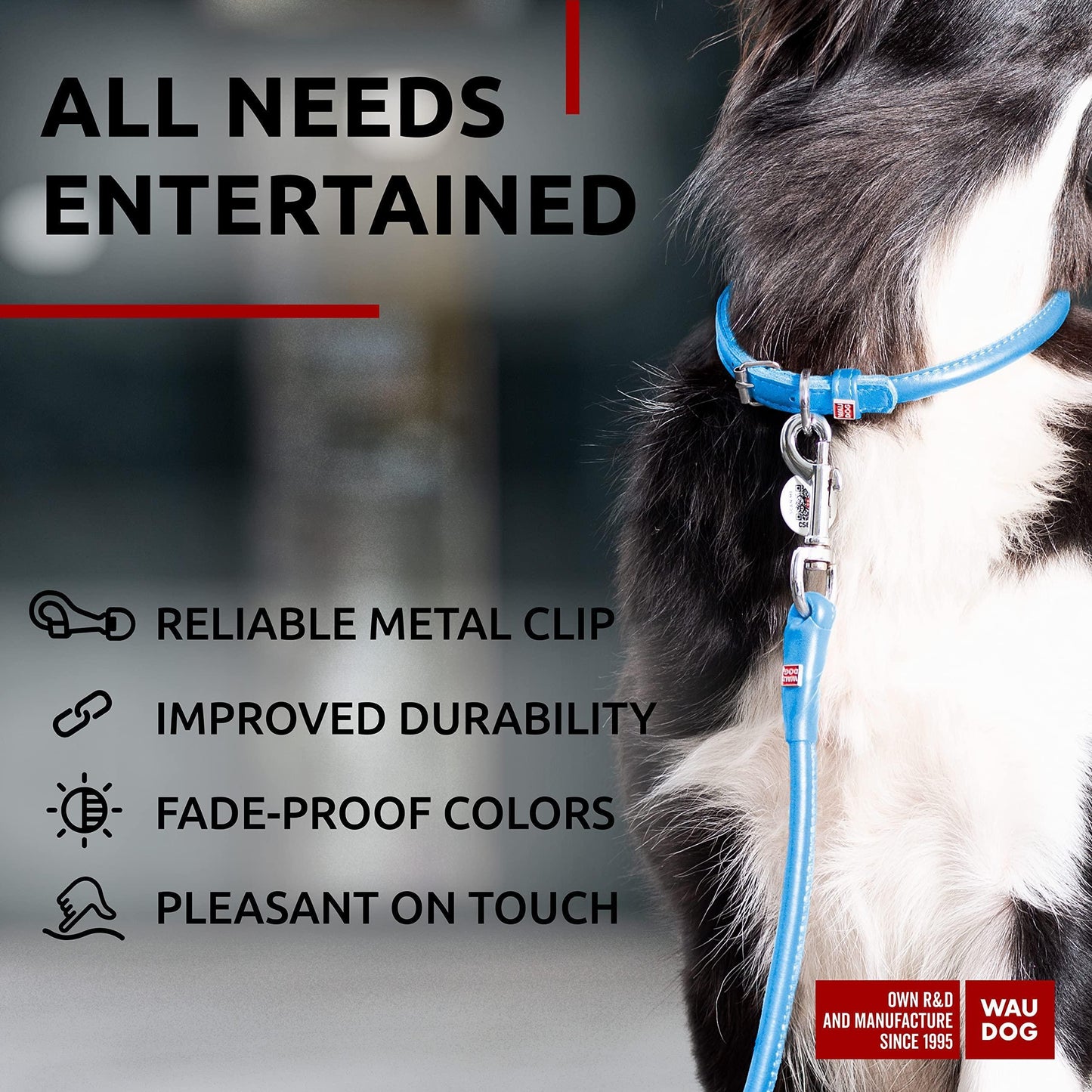 WAUDOG Rolled Leather GLAMOUR Dog Leash 4Ft * 0.4in for Small Medium and Large Dogs (Blue) For Pet With Love