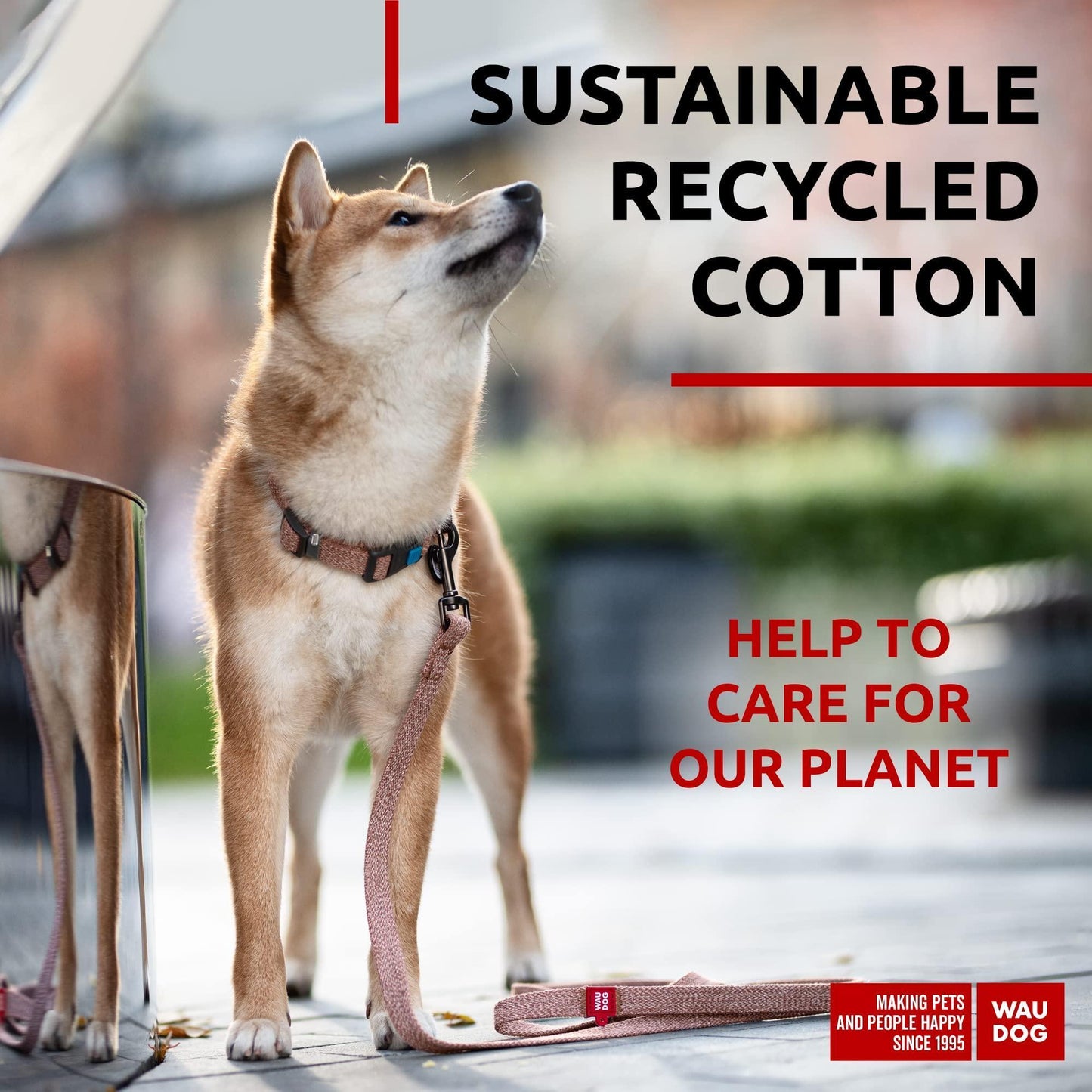 Recycled Cotton Dog Leash 6 Ft   10 Ft Eco Friendly Collar for Small Medium & For Pet With Love