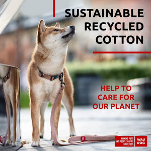 WAUDOG Recycled Cotton Dog Leash 6 Ft   10 Ft Eco Friendly Collar for Small