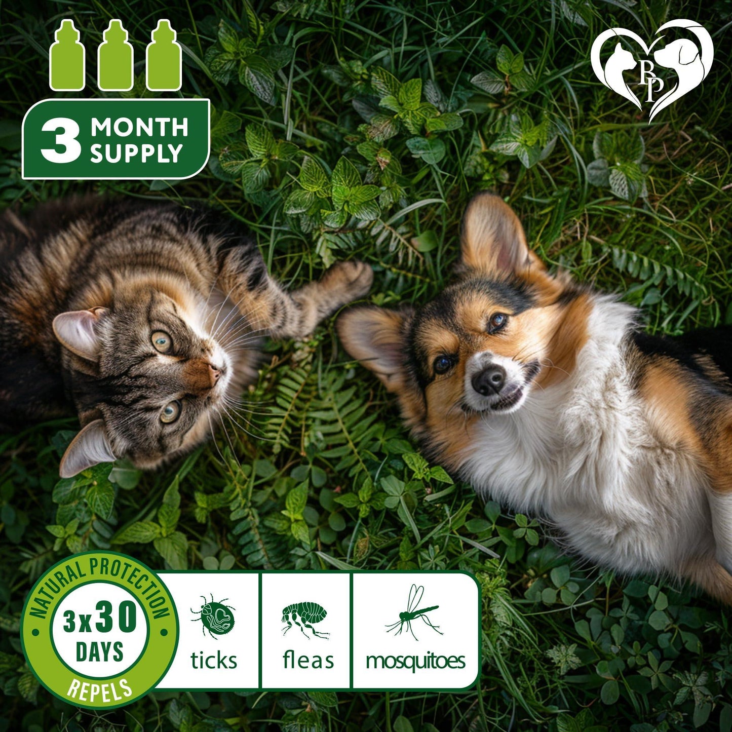 Beloved Pets Natural Flea and Tick Prevention for Dogs, Cats & Rabbits. Topical Flea & Mosquito Repellent. 3 Months Supply For Pet With Love