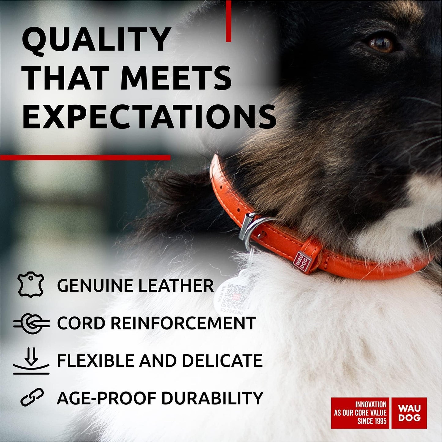 WAUDOG Ultra Soft Rolled Leather Dog Collar for Small Dogs   Soft Padded Dog For Pet With Love