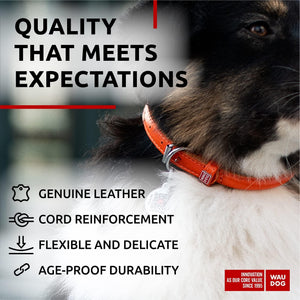 WAUDOG Ultra Soft Rolled Leather Dog Collar for Small Dogs   Soft Padded Dog