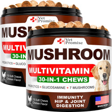 Load image into Gallery viewer, Vet Promise Mushroom Multivitamin Supplement for Dogs for Dogs. Turkey Tail Mushroom, Lions Mane, Reishi Immunity Support, Joint Health, Energy, Gut, Skin Health Support. (2 Pack. 340 Chews) For Pet With Love

