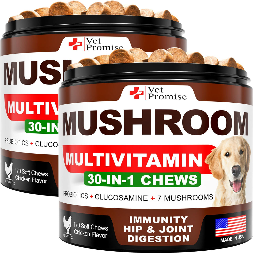 Vet Promise Mushroom Multivitamin Supplement for Dogs for Dogs. Turkey Tail Mushroom, Lions Mane, Reishi Immunity Support, Joint Health, Energy, Gut, Skin Health Support. (2 Pack. 340 Chews) For Pet With Love