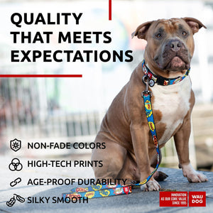 Nylon Dog Leash for Small Dogs and Medium Dogs 4 Ft   Strong Dog Leash for