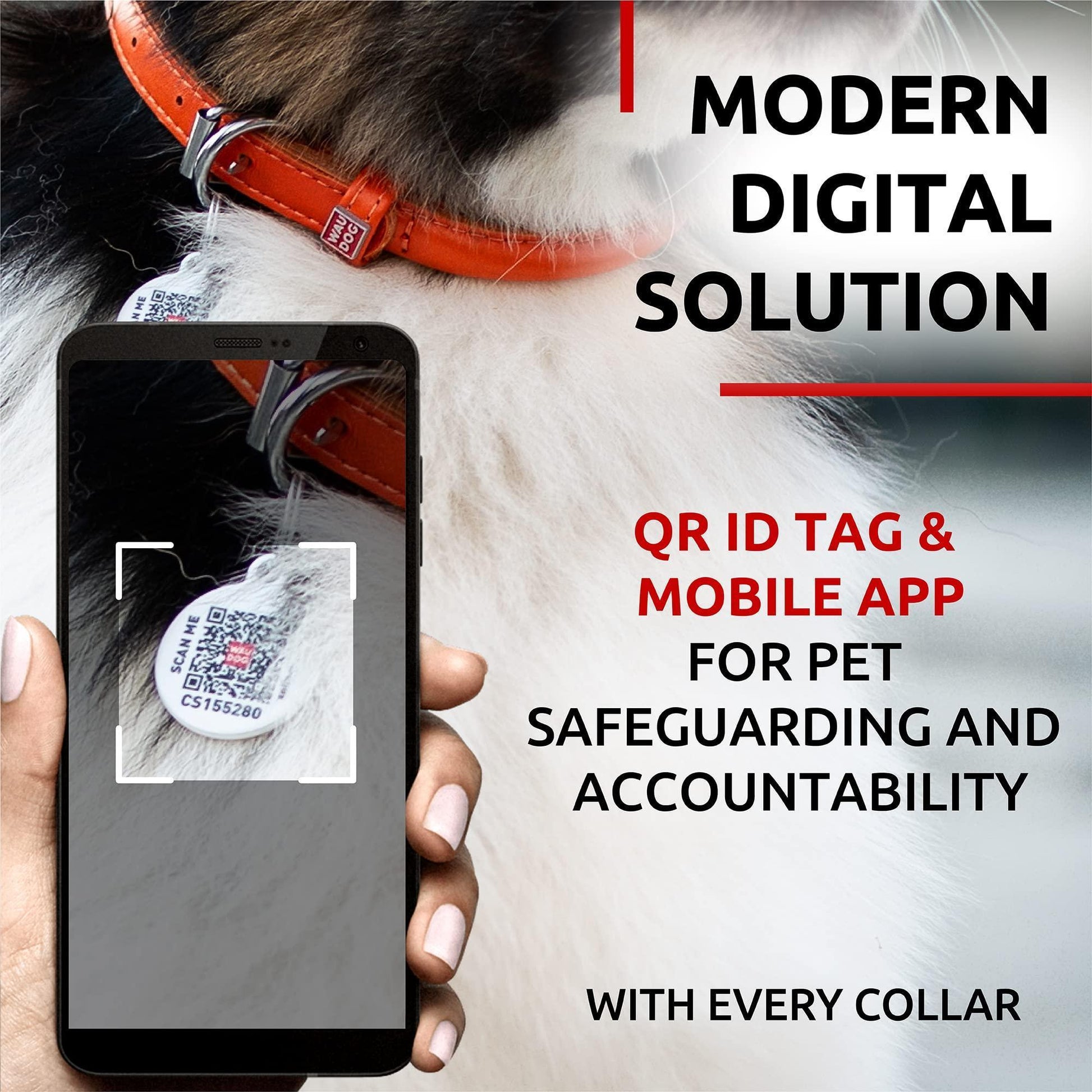 WAUDOG Ultra Soft Rolled Leather Dog Collar for Small Dogs   Soft Padded Dog For Pet With Love