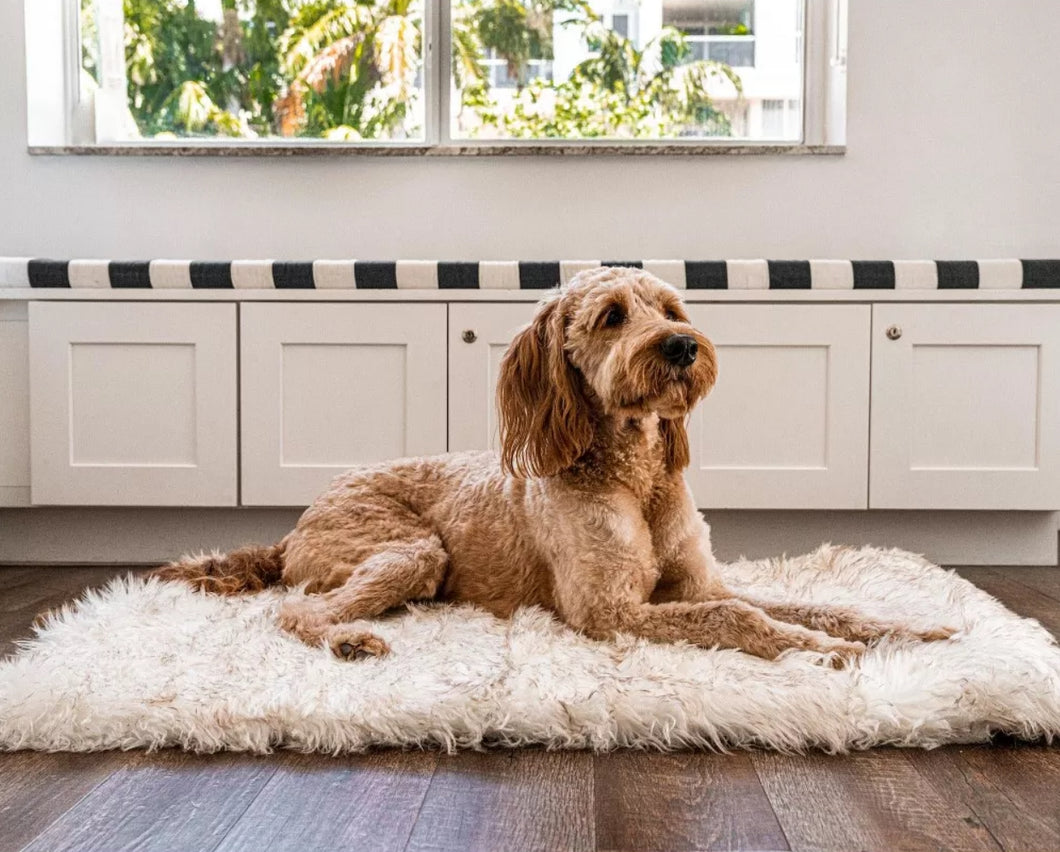 Paw PupRug Portable Orthopedic Dog Bed White with Brown Accents