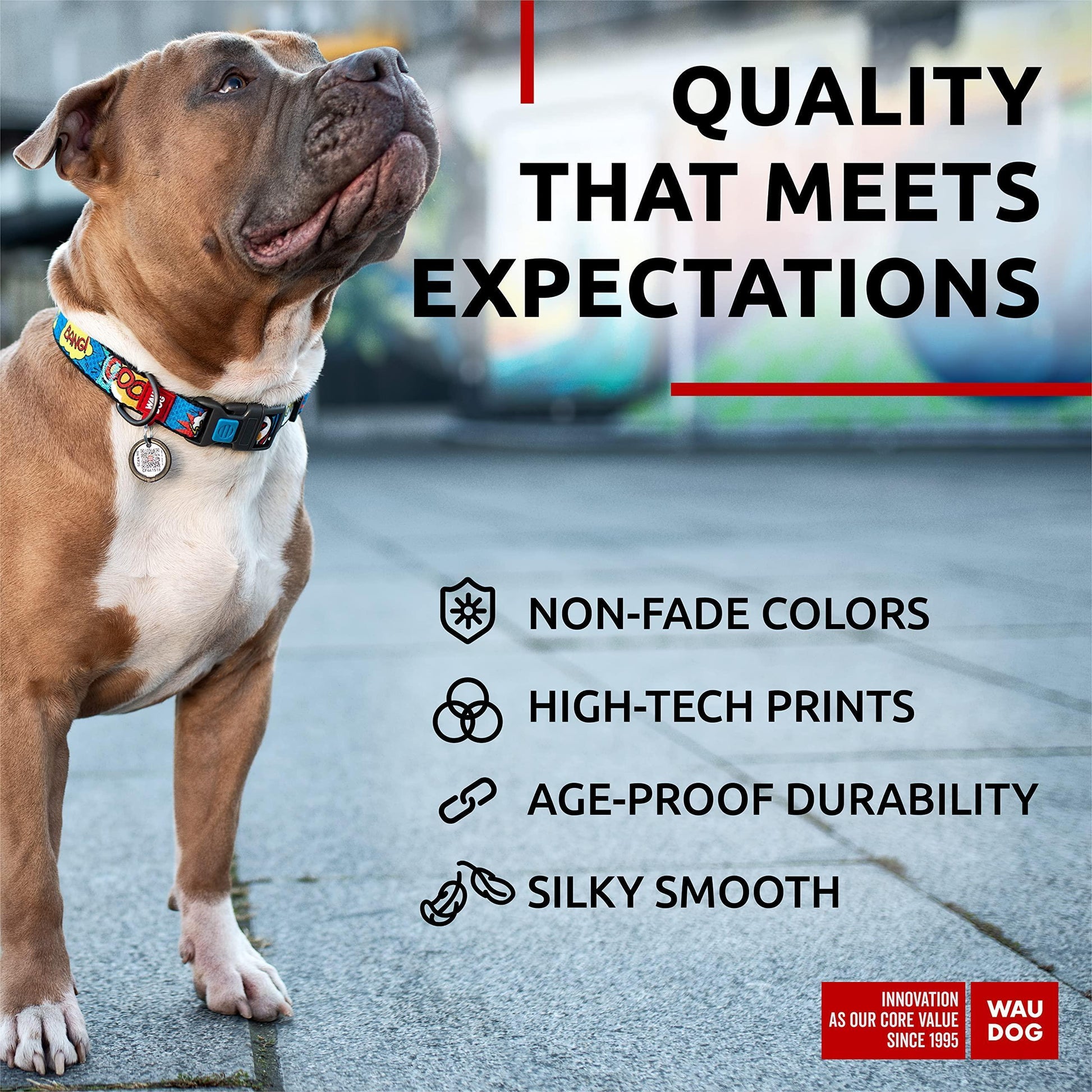 WAUDOG Adjustable Nylon Dog Collar with Durable Plastic Buckle and QR Dog Tag. LARGE (WOW! Print) For Pet With Love