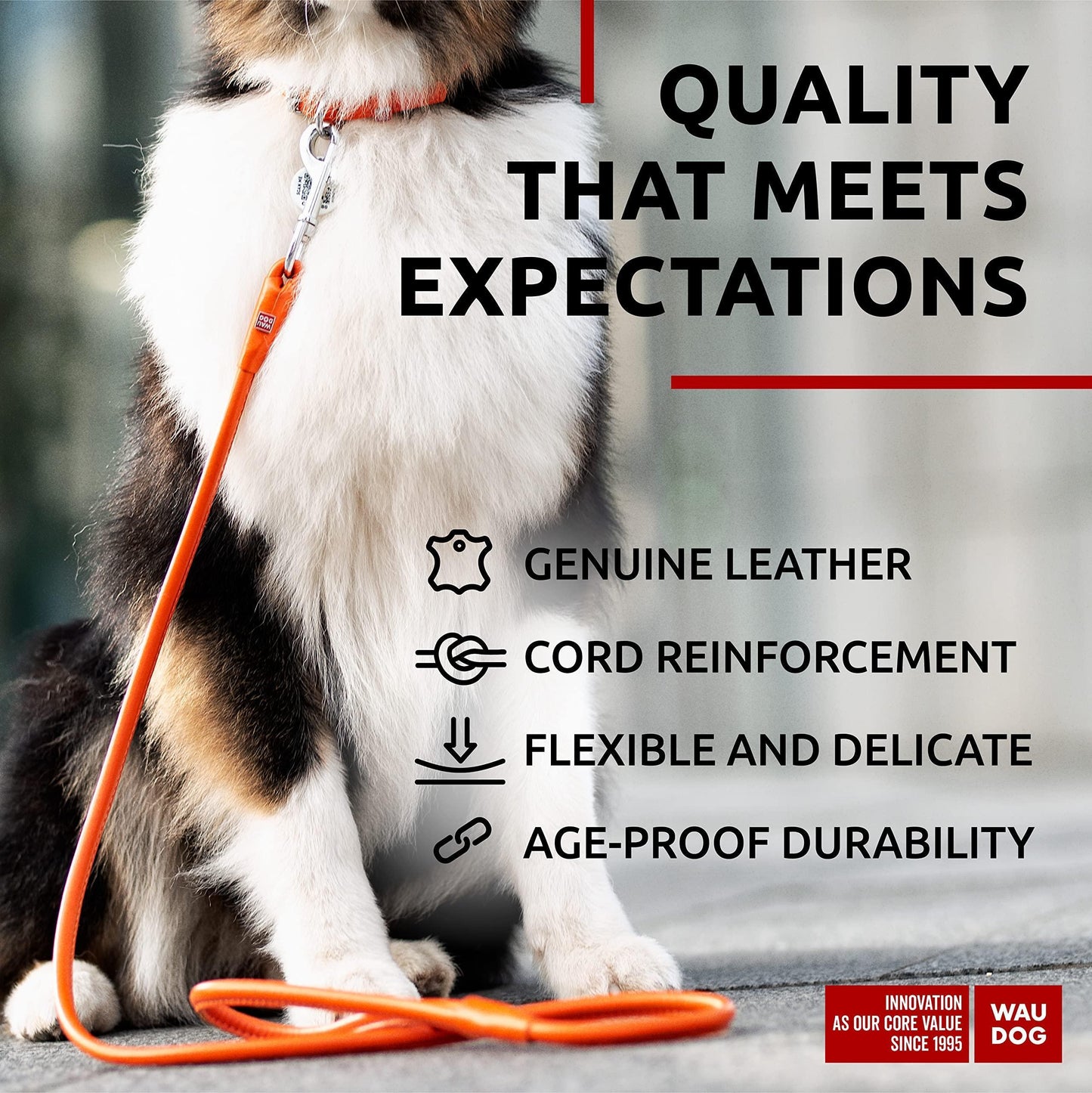 WAUDOG Rolled Leather GLAMOUR Dog Leash 4Ft * 0.5in for Small Medium and Large Dogs (Orange) For Pet With Love